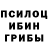 Псилоцибиновые грибы ЛСД Sid Dexter