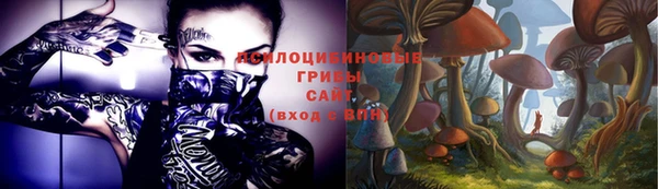 индика Аркадак
