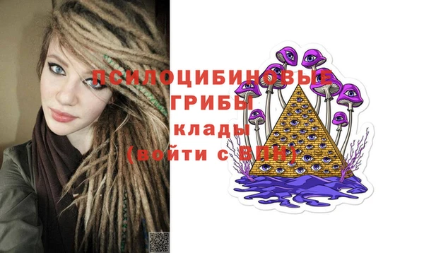 индика Аркадак
