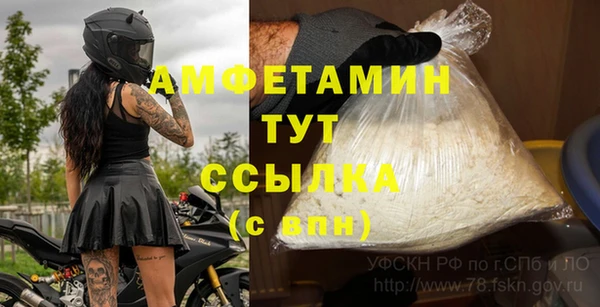 индика Аркадак
