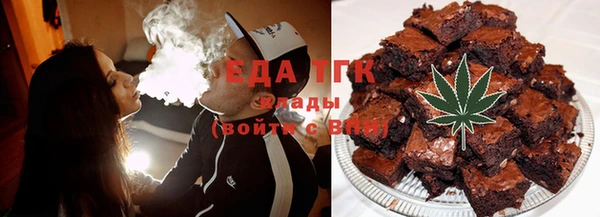 индика Аркадак